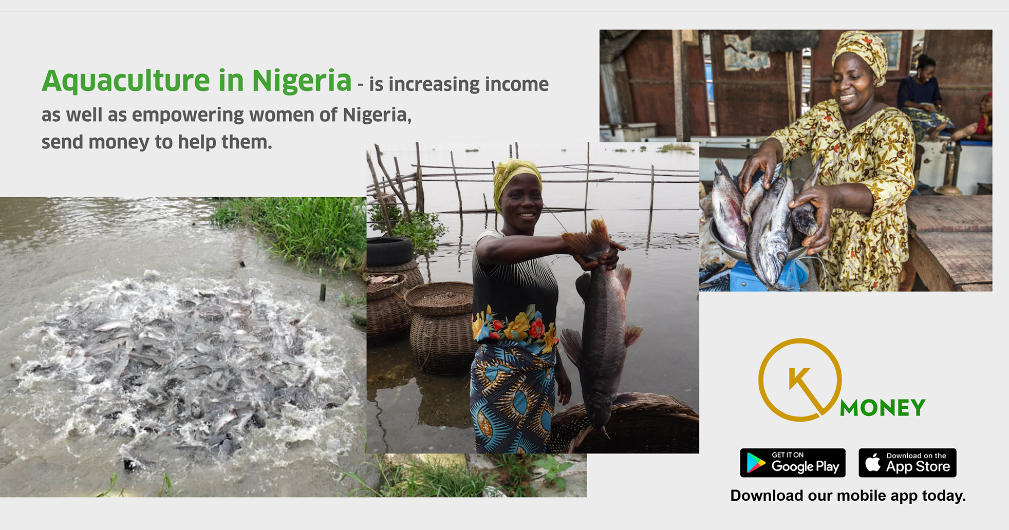 Aquaculture in Nigeria